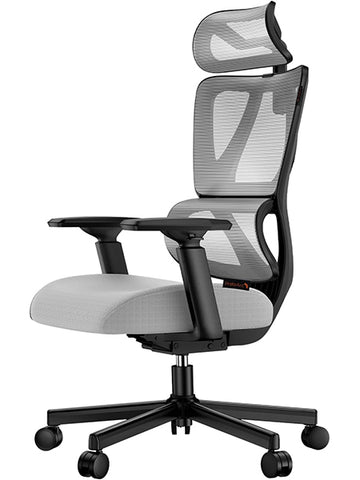 ProtoArc EC100 Ergonomischer Bürostuhl Computer-Schreibtischstuhl Federkissen