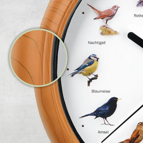 EASYmaxx Wanduhr mit Vogelstimmen Küchenuhr Quarz 250 mm Quartz Uhr 25cm rund