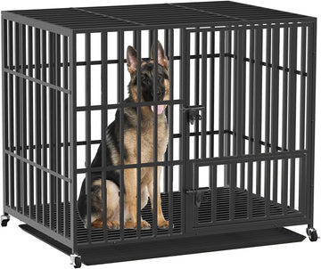 BingoPaw Hundekäfig XXL Transportbox Hundebox Metall mit 3 Türen und 4 Rollen