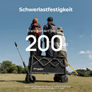 BougeRV Elektrischer Bollerwagen mit 250W-Doppelmotor 133Wh 250L Kapazität-3