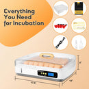 35-65 Eier Inkubator Vollautomatisch Brutmaschine LED Temperaturkontrolle-7