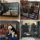 BingoPaw Hundekäfig XXL Transportbox Hundebox Metall mit 3 Türen und 4 Rollen-10