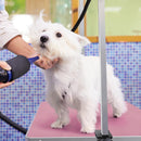Hund Trimmtisch Schertisch Hundepflegetisch mit Unterkorb Hundefriseurtisch-9