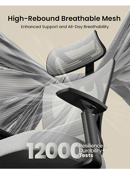ProtoArc EC100 Ergonomischer Bürostuhl Computer-Schreibtischstuhl Federkissen