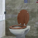BENKSTEIN WC Toilettendeckel Absenkautomatik Treibholz-7