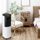 Hoberg Luftkühler Klimagerät Klimaanlage Ventilator Befeuchter Ionisator Peltier-2