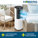 Hoberg Luftkühler Klimagerät Klimaanlage Ventilator Befeuchter Ionisator Peltier-3