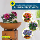 Hoberg Dekosäule mit Pflanzschale LED 72cm-3