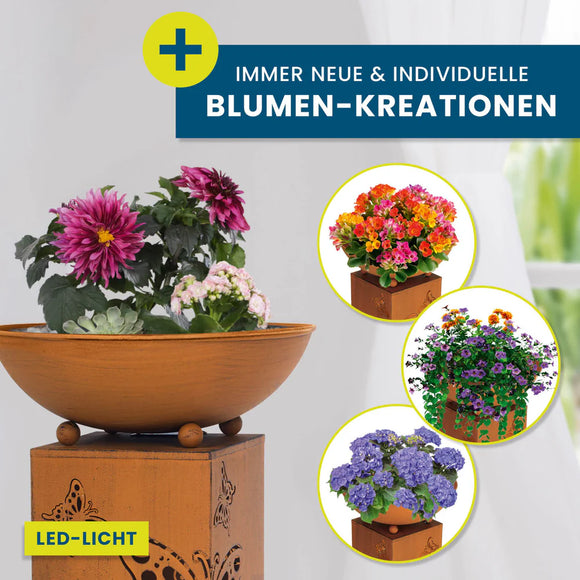 Hoberg Dekosäule mit Pflanzschale LED 72cm