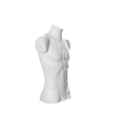 Schaufensterpuppe Mannequin Herren Torso Büste Weiß Recycelbarer Kunststoff-2